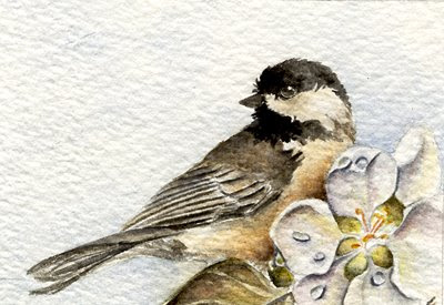 chickadee oil painting