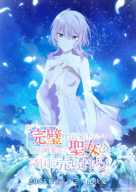 Las novelas The Too-Perfect Saint: Tossed Aside by My Fiancé and Sold To Another Kingdom tendrán anime para televisión en 2025