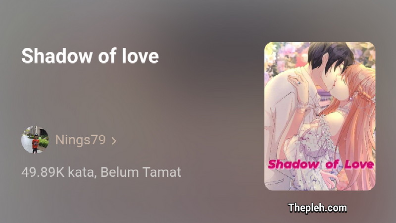 Novel Shadow of Love Full Bab