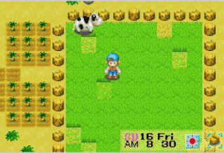 Download Harvest Moon Friends Of Mineral Town di Android