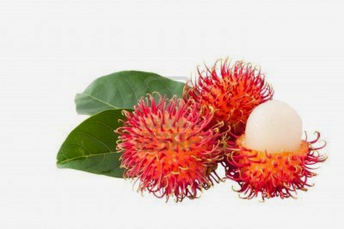 Kalori Buah  Rambutan 