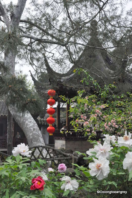 Lingering Garden