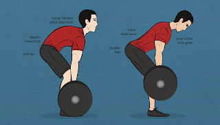 best bodybuilding tips posture 