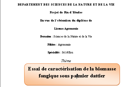  Essai de caractérisation de la biomasse fongique sous palmier dattier par GUEMMOULA-BENHAMIDA