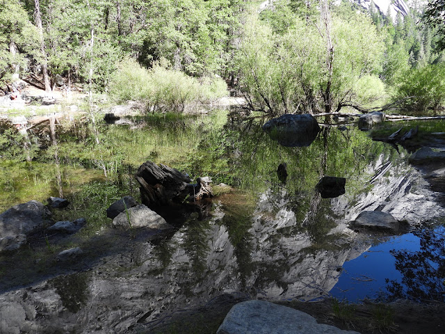 Day 8 - Yosemite (2)