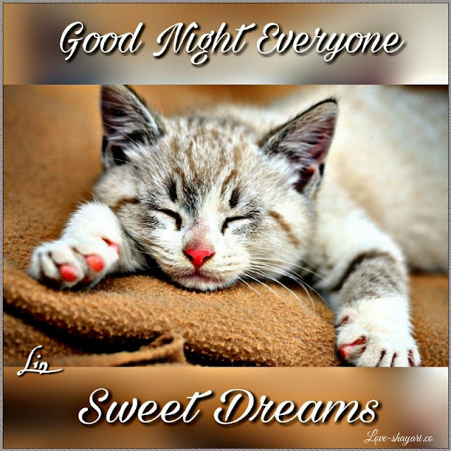 good night and sweet dreams images
