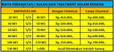 biaya jasa perawatan kolam renang pribadi