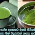 Benefits of drinking matcha tea