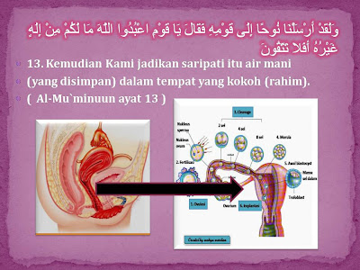 Embriologi Menurut Al-Quran
