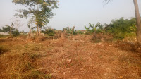 land for sale in Idokpa Benin Auchi road