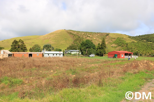 Photo des batiments à l'arrière de Home Bay Motutapu Auckland Nouvelle-zélande