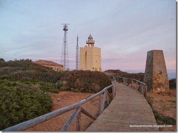 Conil. Cabo de Roche. Faro - P2280765