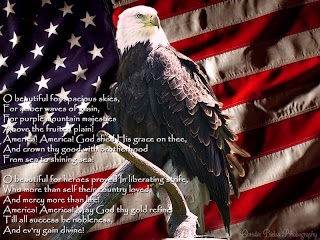 eagle, independence day