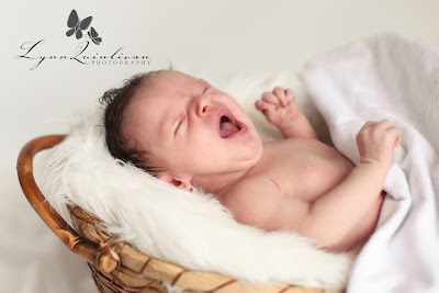 Newborn Photography