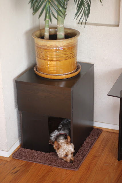 Indoor Custom Dog House