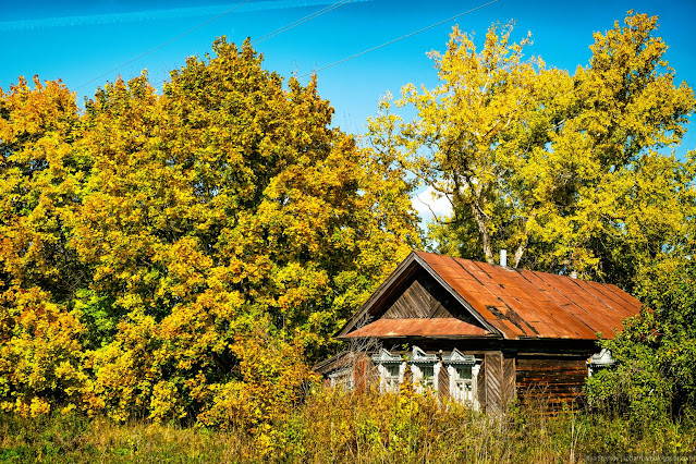 Золотая осень - желтые деревья и деревенский дом