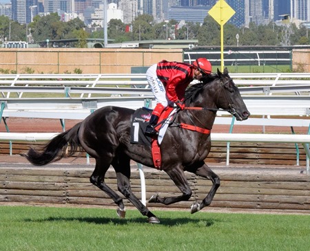 aus guineas_prized icon 1