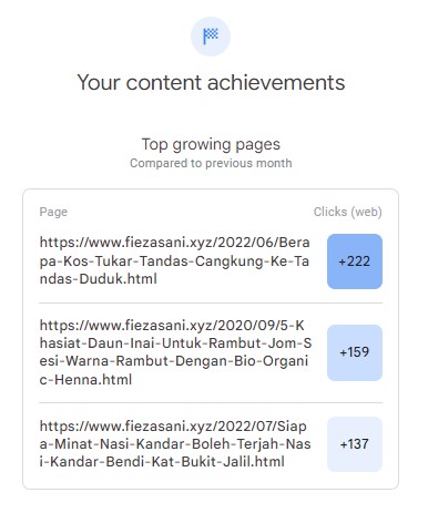 perfomance blog, google search console