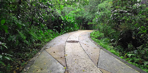 Joging Track di Taman Digulis Potianak Foto