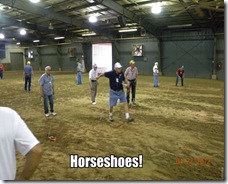 horseshoes