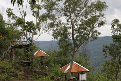 Kebun Buah Mangunan, kebun buah bantul, wisata kebun buah, wisata jogja, wisata bantul, kebun buah imogiri