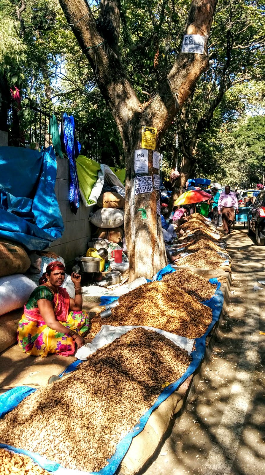 Lane of Groundnut shops on the side lanes of Bull Temple Road at Kadalekai Parishe