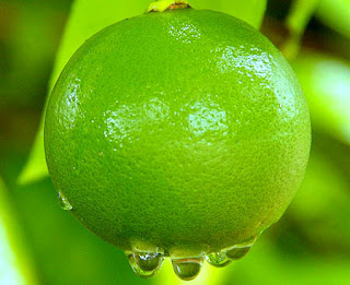 Lime Benefits in Our Body Health