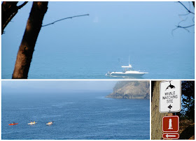 san juans whale watching site