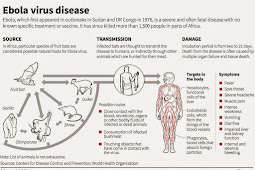 Ebola Virus Disease: Causes, Symptoms, Treatment and Prevention