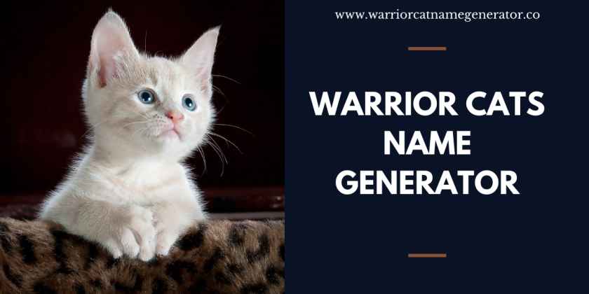 List Of 15 000 Warrior Cat Names Ultimate List