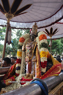 Kodai Utsavam, Tholukiniyaan, Purappadu,Video, Divya Prabhandam,Sri Parthasarathy Perumal, Triplicane,Thiruvallikeni,Utsavam,