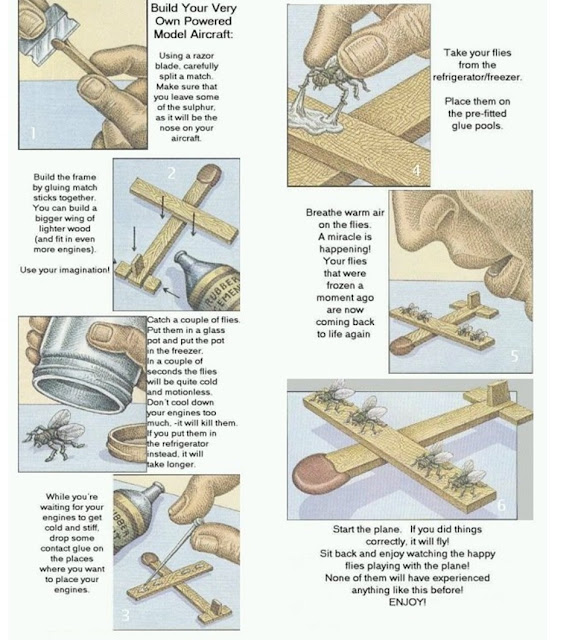 aircraft, flies, model, how to, do it yourself, tapandaola111