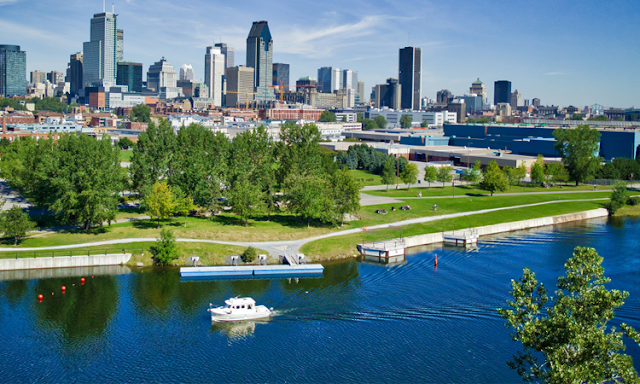 Biodiversité : Montréal peut-il sortir un « accord historique » ?