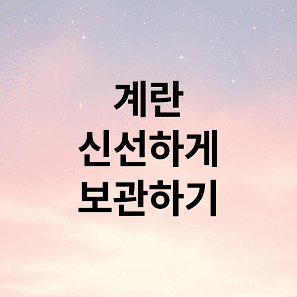 과학적으로 배우는 계란 보관법: 큐티클부터 보관용기까지