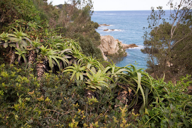 Сады Клотильды в Льорет де Мар (Jardines de Santa Clotilde, Lloret de Mar)