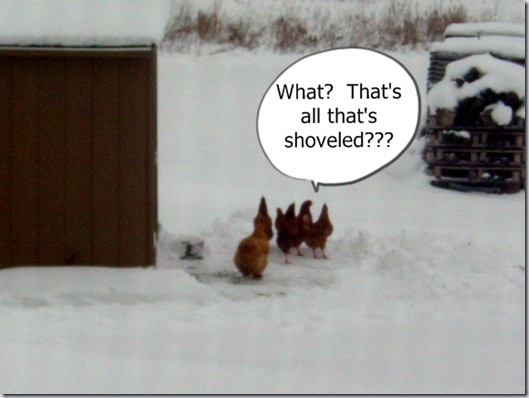 That's all that's shoveled?