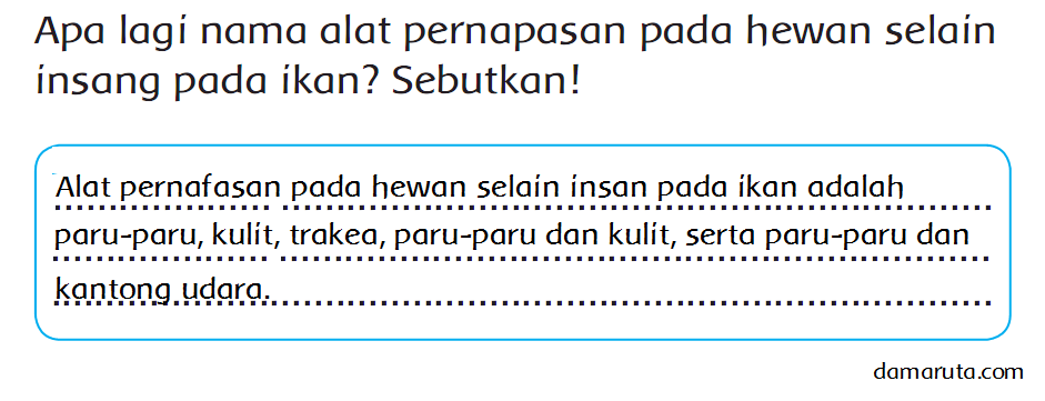  Apa  Saja Nama Alat  Pernafasan Makhluk Hidup Halaman 11 