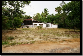 Candi Sungai Mas1