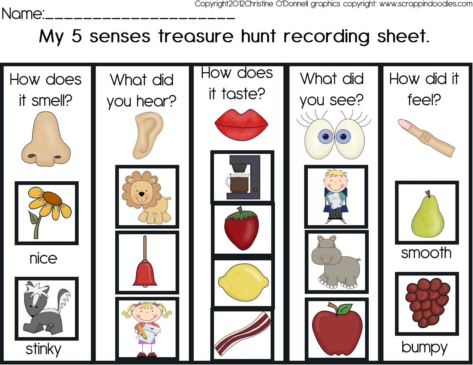 K senses The treasure paste hunt and 5 freebie! senses cut Pre worksheets Classroom: and Crazy  a five
