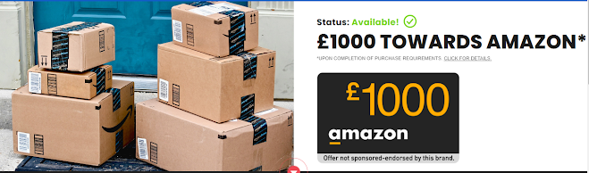 £1000  TOWARDS  AMAZON