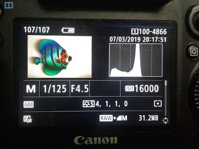 Histogram on camera LCD