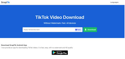 Situs Web Terbaik untuk Unduh Video TikTok pada tahun 2023