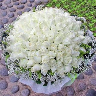 Flores, Fotos de Rosas Blancas, parte 3