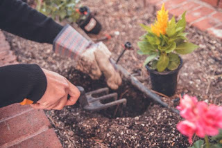 Learn To Be a Gardener The Easy Way