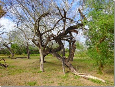 World Birding Center