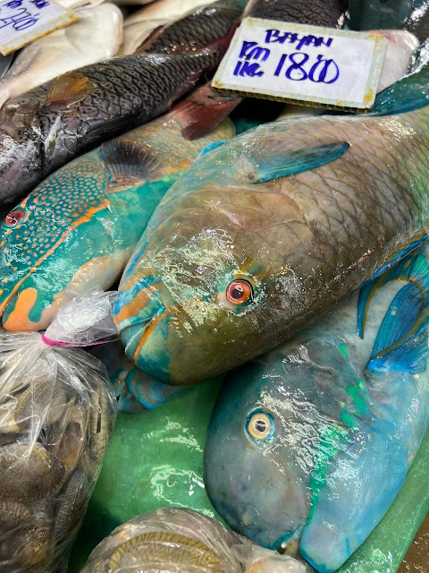 6 Cara Menyimpan Ikan Dalam Freezer, Ikan Kekal Segar Dan Tahan Lama