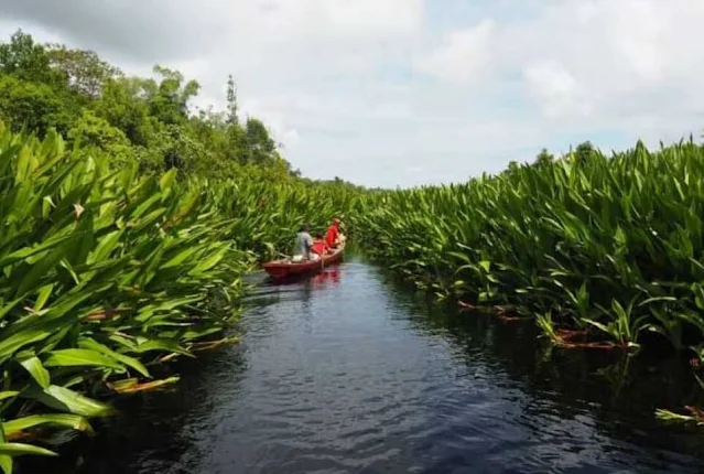 Indonesia