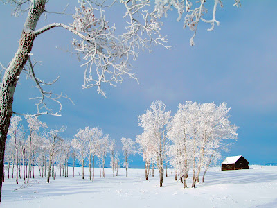 Winter Backgrounds