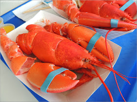 Langostas de Markey's Lobster Pool, New Hampshire