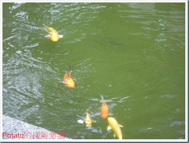 DSCN5657